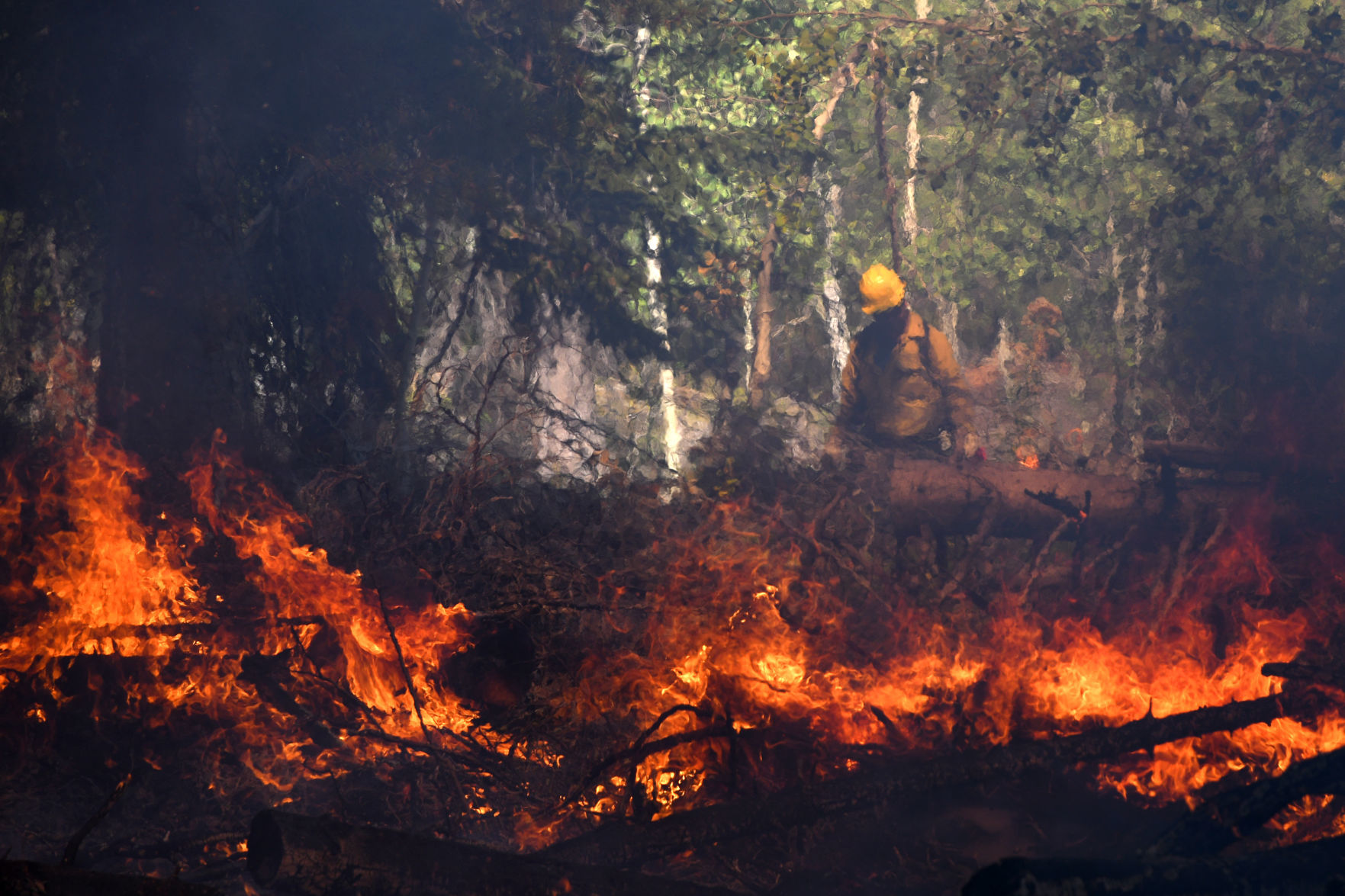 Prescribed burn